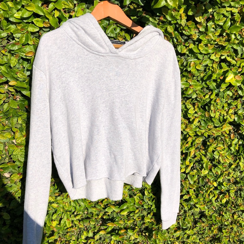 cropped brandy hoodie